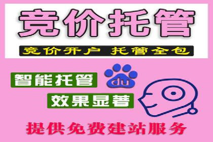 Sem优化公司案例：百度广告效果分析